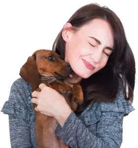 Dog walker in TOWN with cute dog