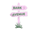 BarkAvenue Dog Walking Market Harborough
